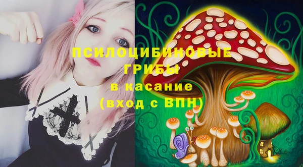 Альфа ПВП Армянск